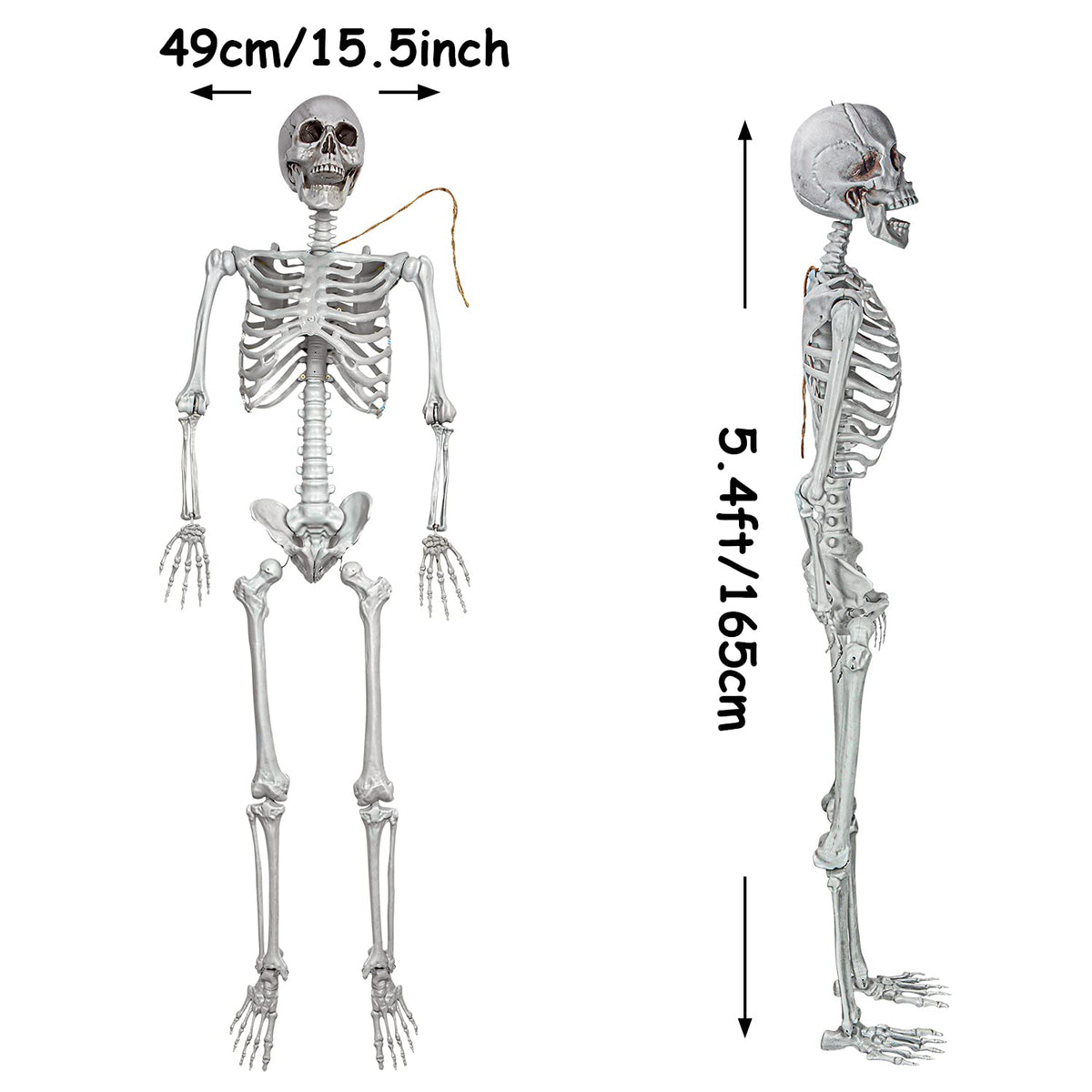 2Packs 5.4ft Life Size Full Body Skeletons with Movable Joints R9284
