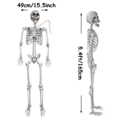 2Packs 5.4ft Life Size Full Body Skeletons with Movable Joints R9284