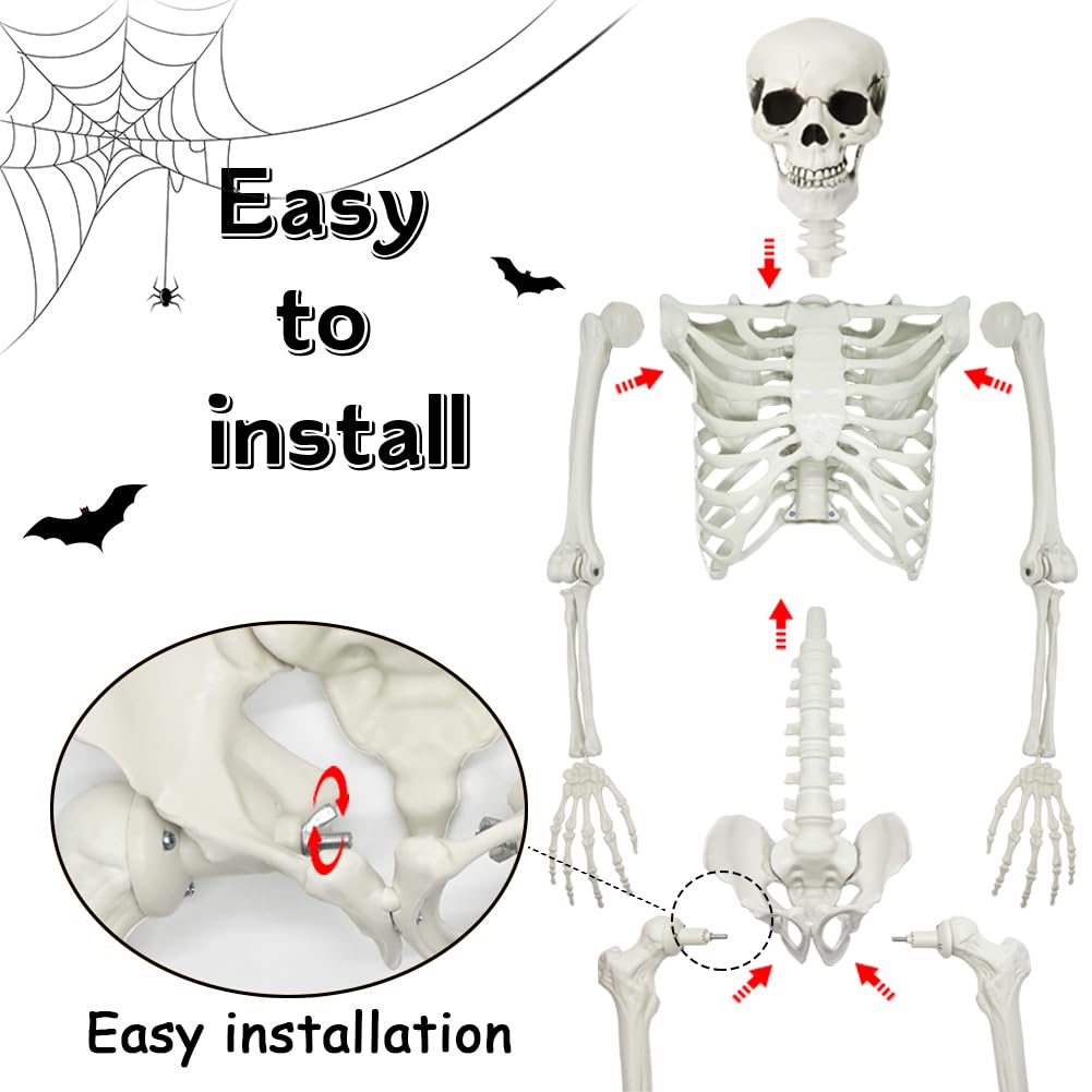 5.4Ft Posable Halloween Skeleton with Dog Cat Skeleton N481290