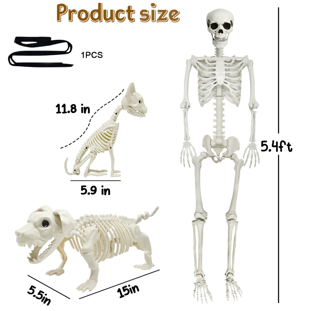 5.4Ft Posable Halloween Skeleton with Dog Cat Skeleton N481290