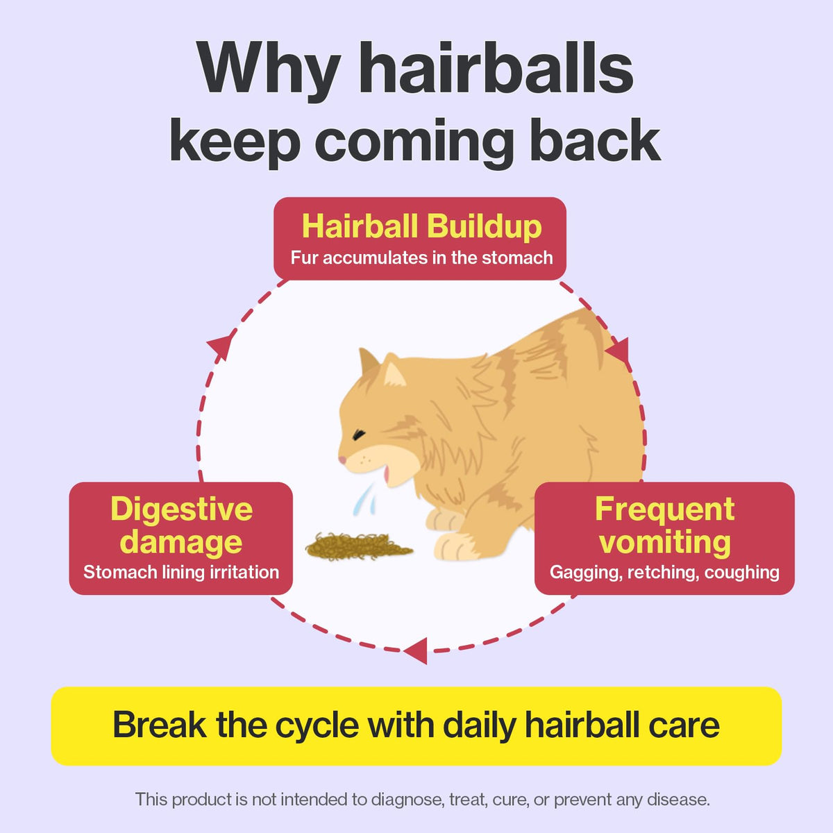 Chicken Flavor Hairball Relief Cat Supplement 30 Count K225698