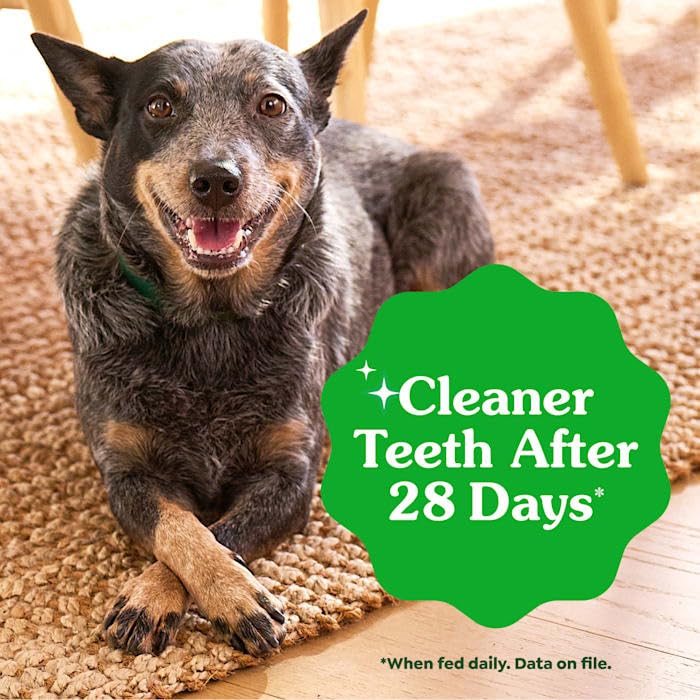 Natural Dog Dental Care Chews 24 oz F2280