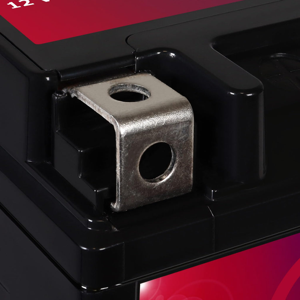 YTZ14S Battery C3935