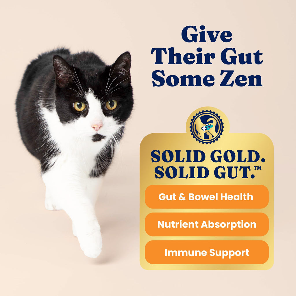 Solid Gold High Protein Chicken Dry Cat Food 6lb Q5337