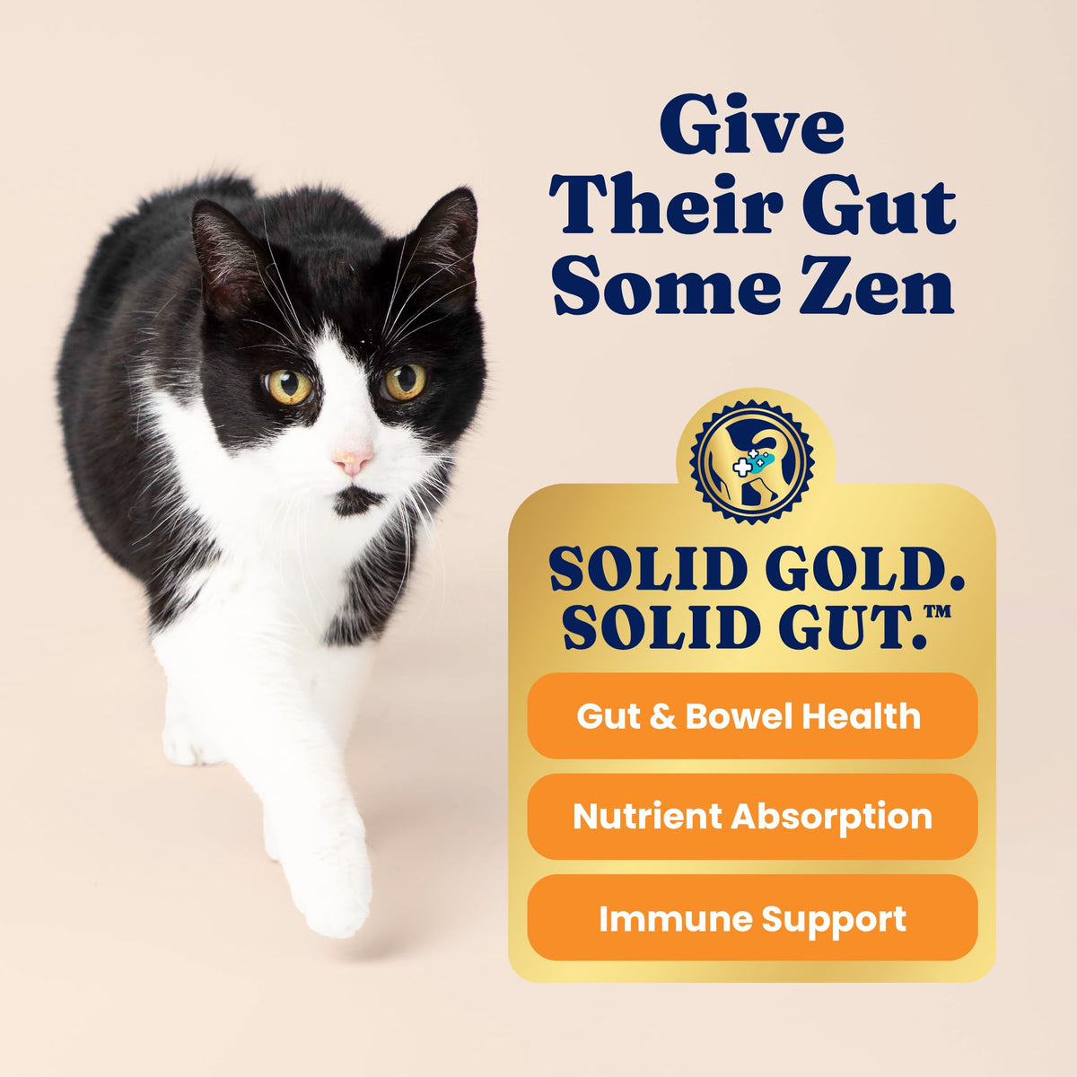 Solid Gold High Protein Chicken Dry Cat Food 6lb Q5337