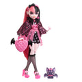 Monster High Doll with Pink & Black Hair T11902