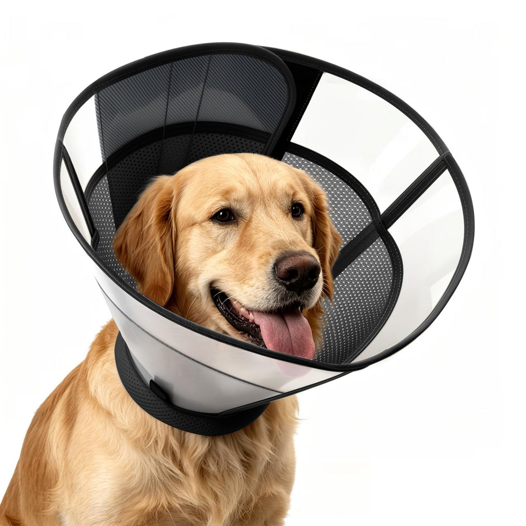 Soft Dog Cone Collar A995690