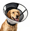 Soft Dog Cone Collar A995690