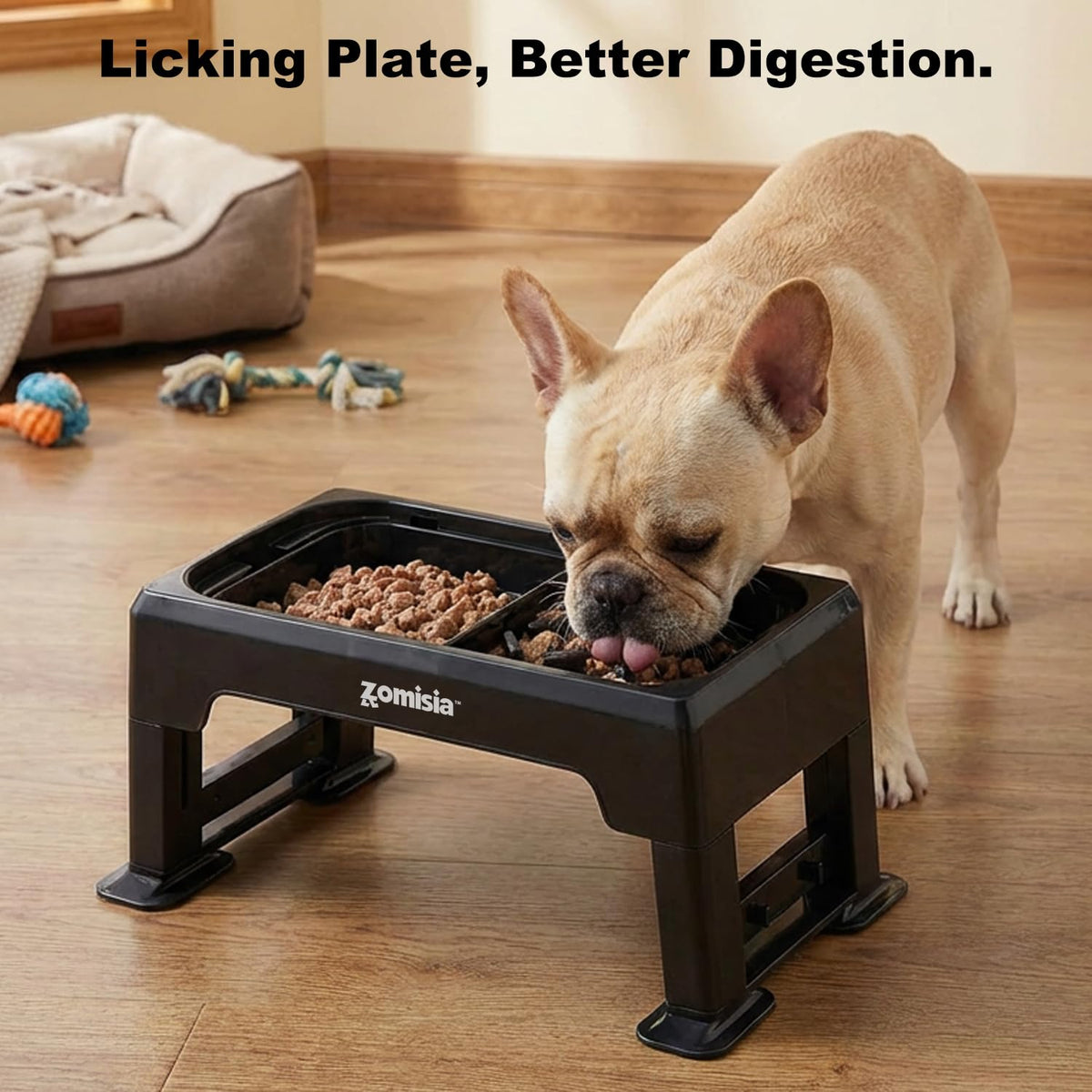 Elevated Dog Bowls with No Spill Water Bowl R2223