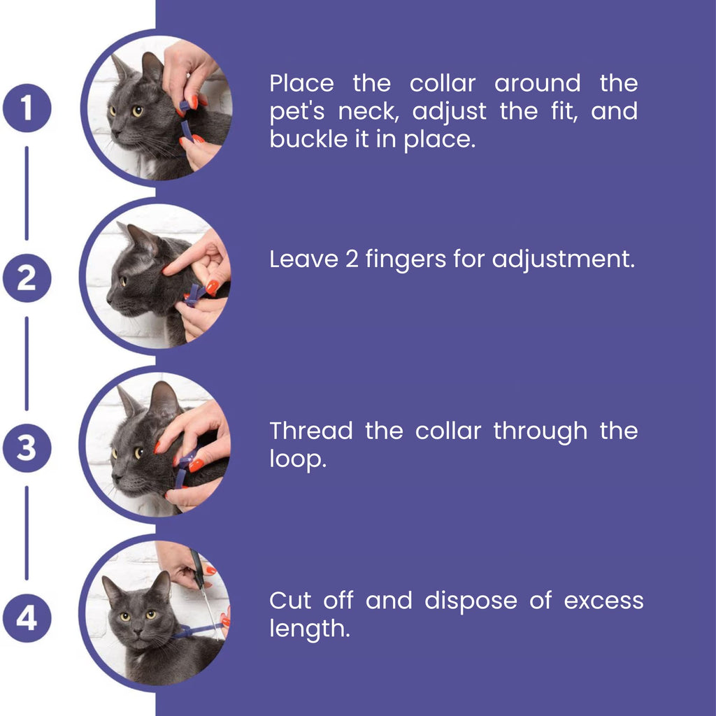 Cat Calming Collar 2-Pack V4980