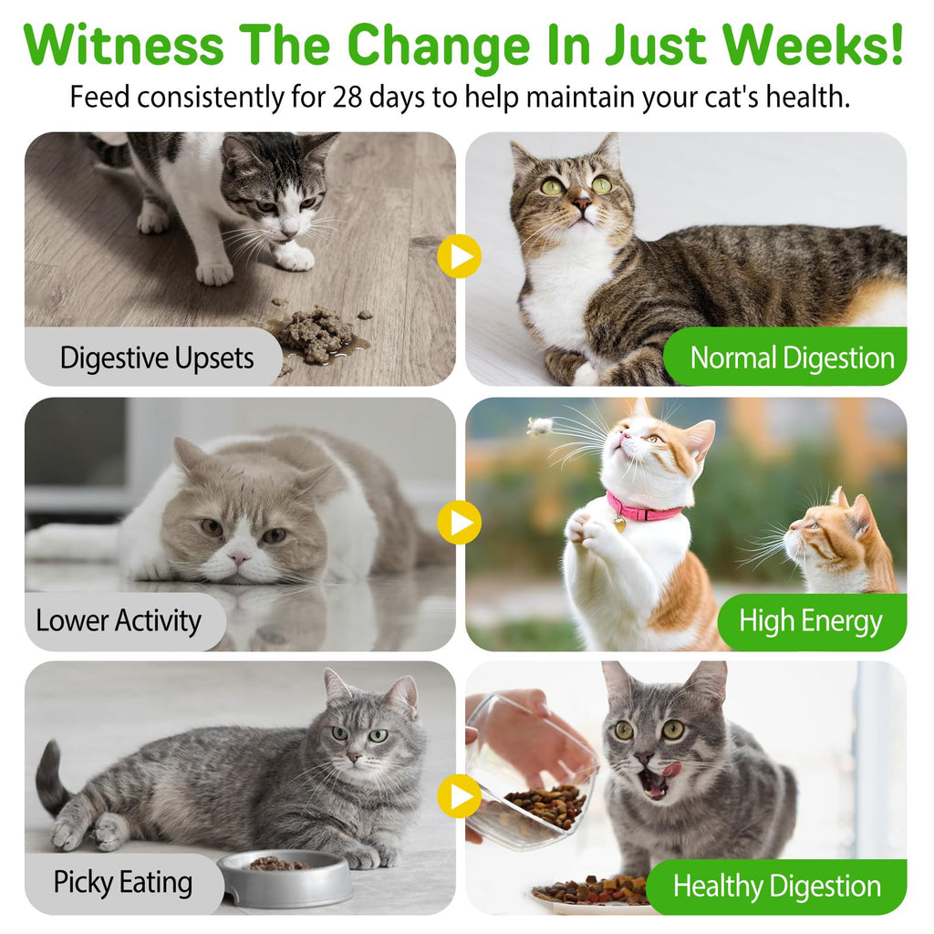Chicken Flavor Hairball Treatment for Cats C5802