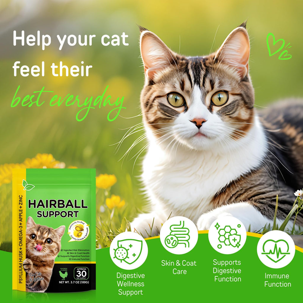Chicken Flavor Hairball Treatment for Cats C5802