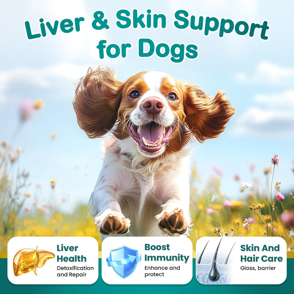 Milk Thistle Supplement for Dogs with Curcumin Choline Fish Oil Prebiotics Chicken Flavor T144184