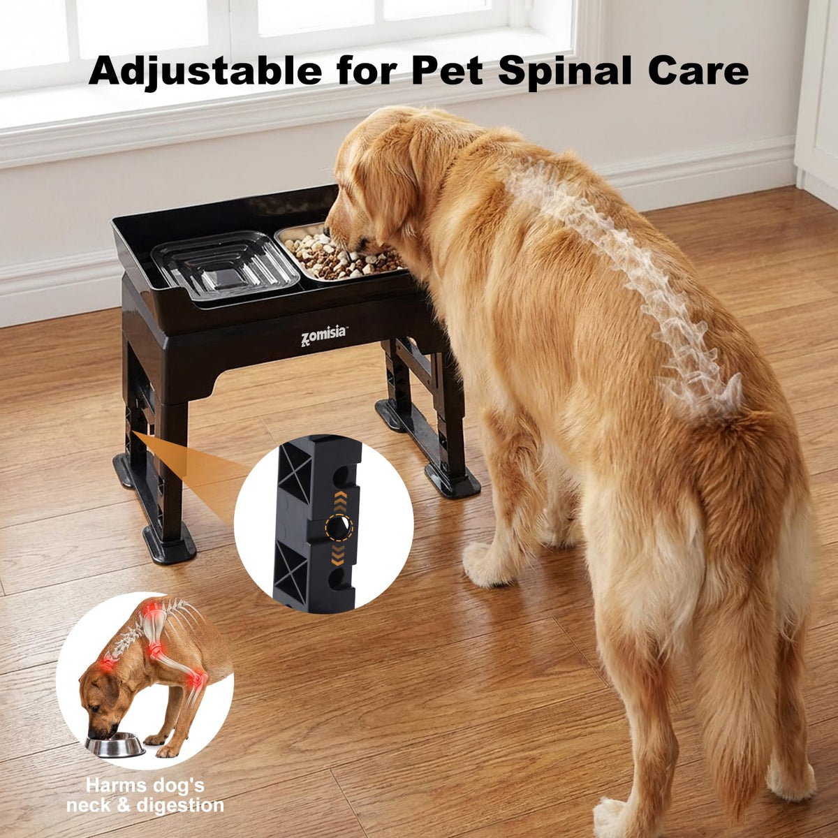 Elevated Dog Bowls with No Spill Water Bowl R2223