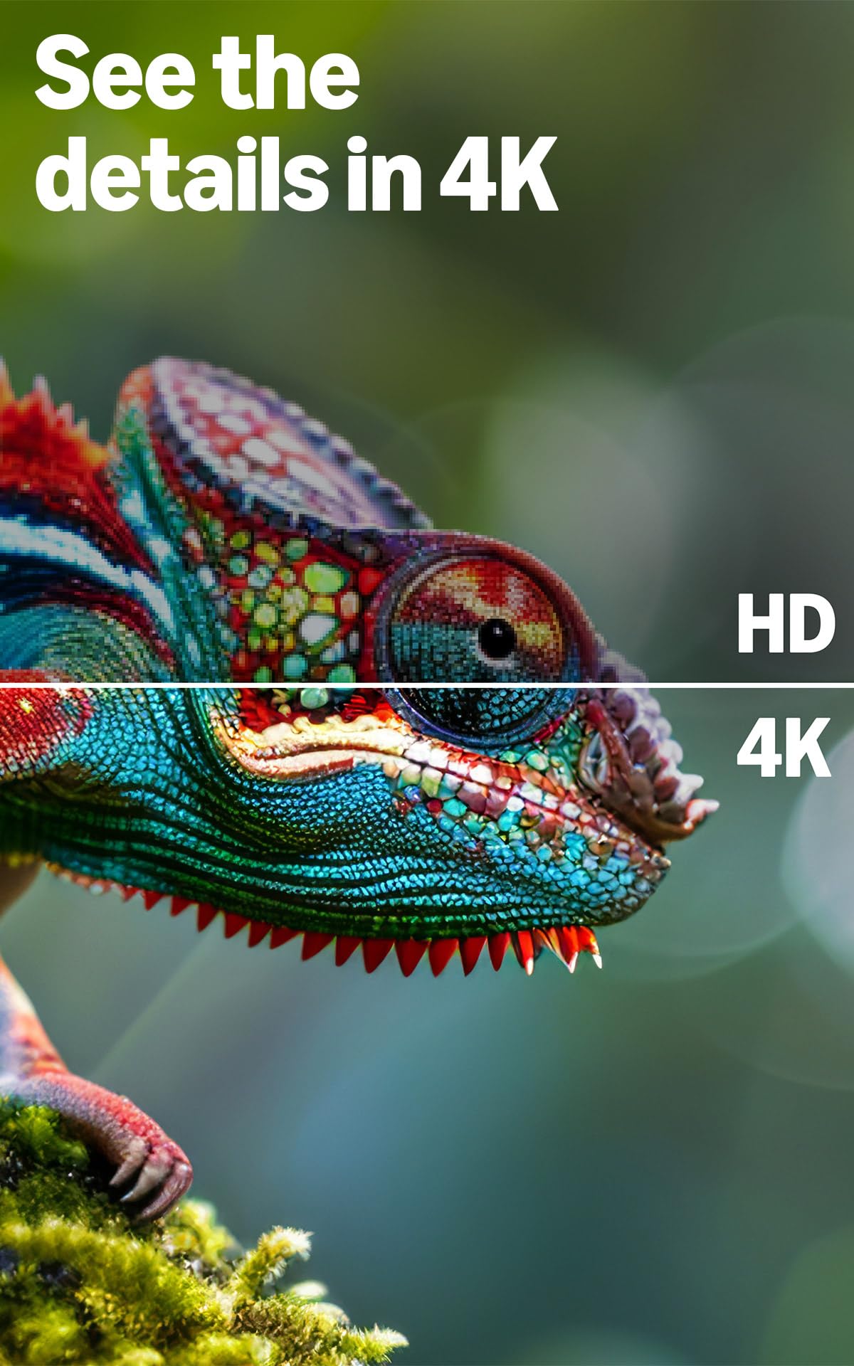 43" 4K Ultra HD Smart TV with Alexa Remote T6384