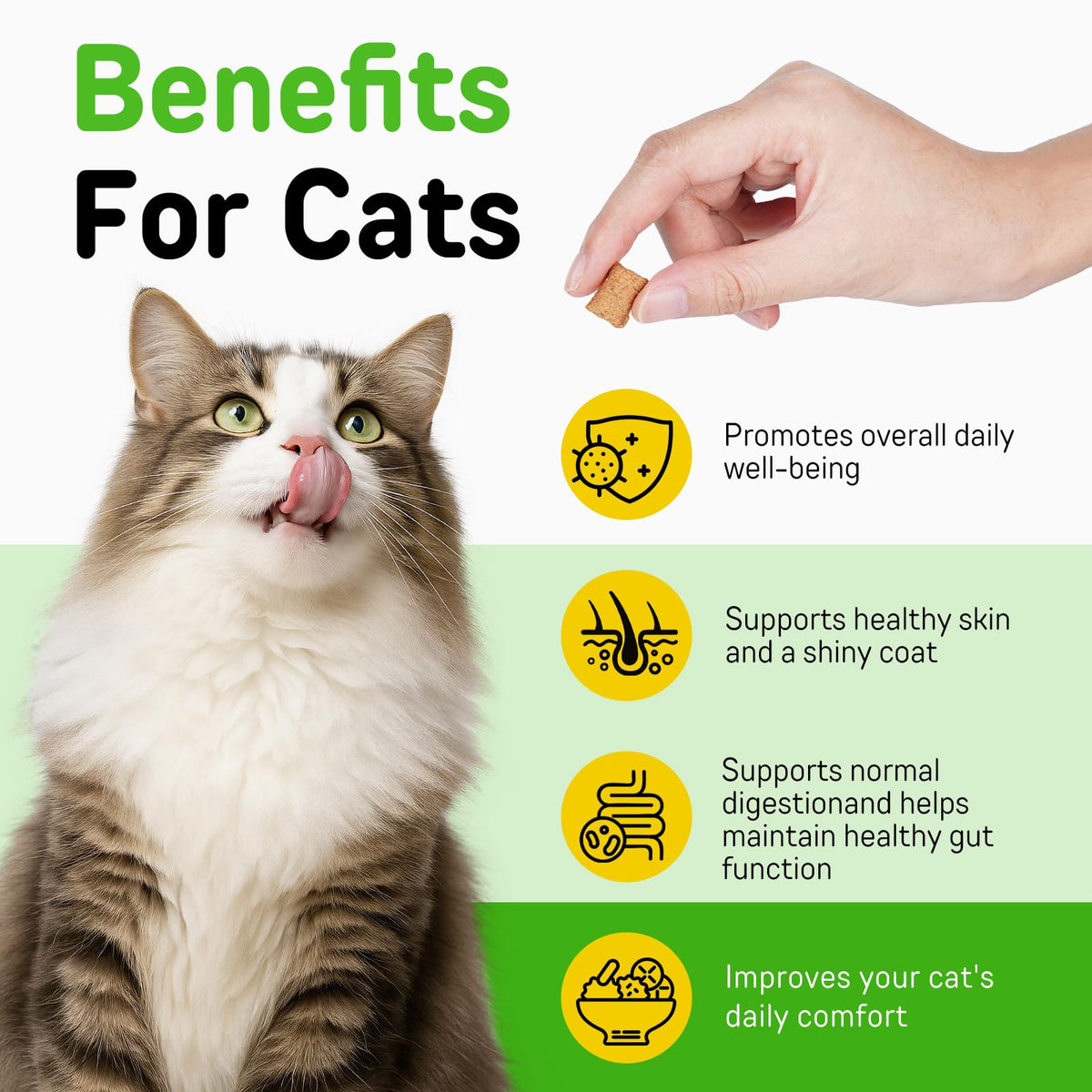 Chicken Flavor Hairball Treatment for Cats C5802