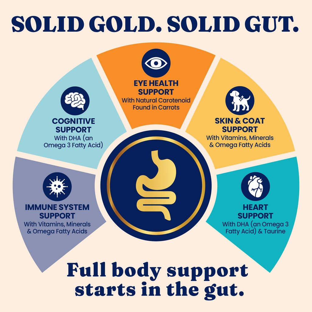 Solid Gold High Protein Chicken Dry Cat Food 6lb Q5337
