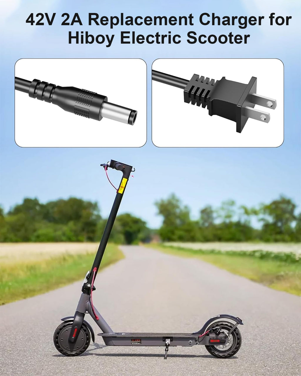 42V Electric Scooter Charger U4220