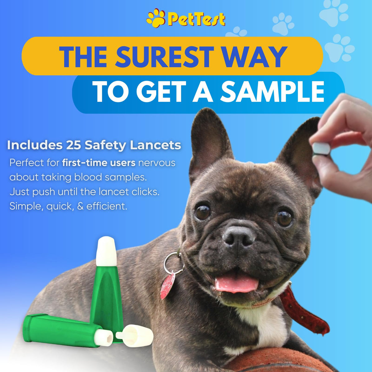 Glucose Monitor Kit for Dogs and Cats B6909