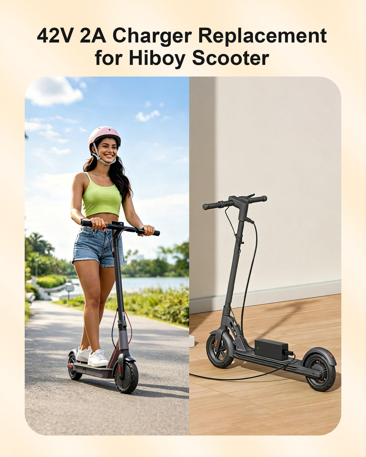 42V Electric Scooter Charger U4220