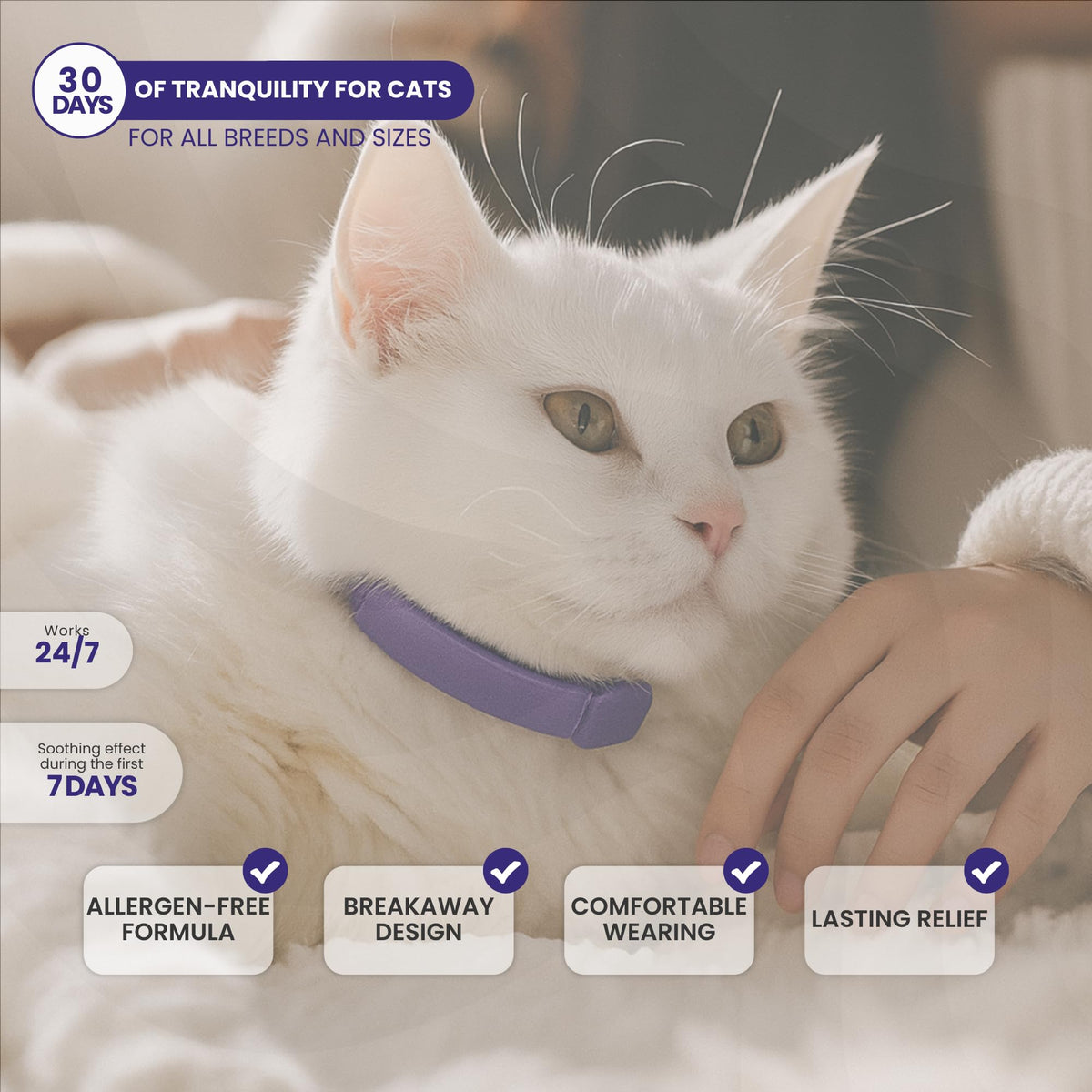 Cat Calming Collar 2-Pack V4980