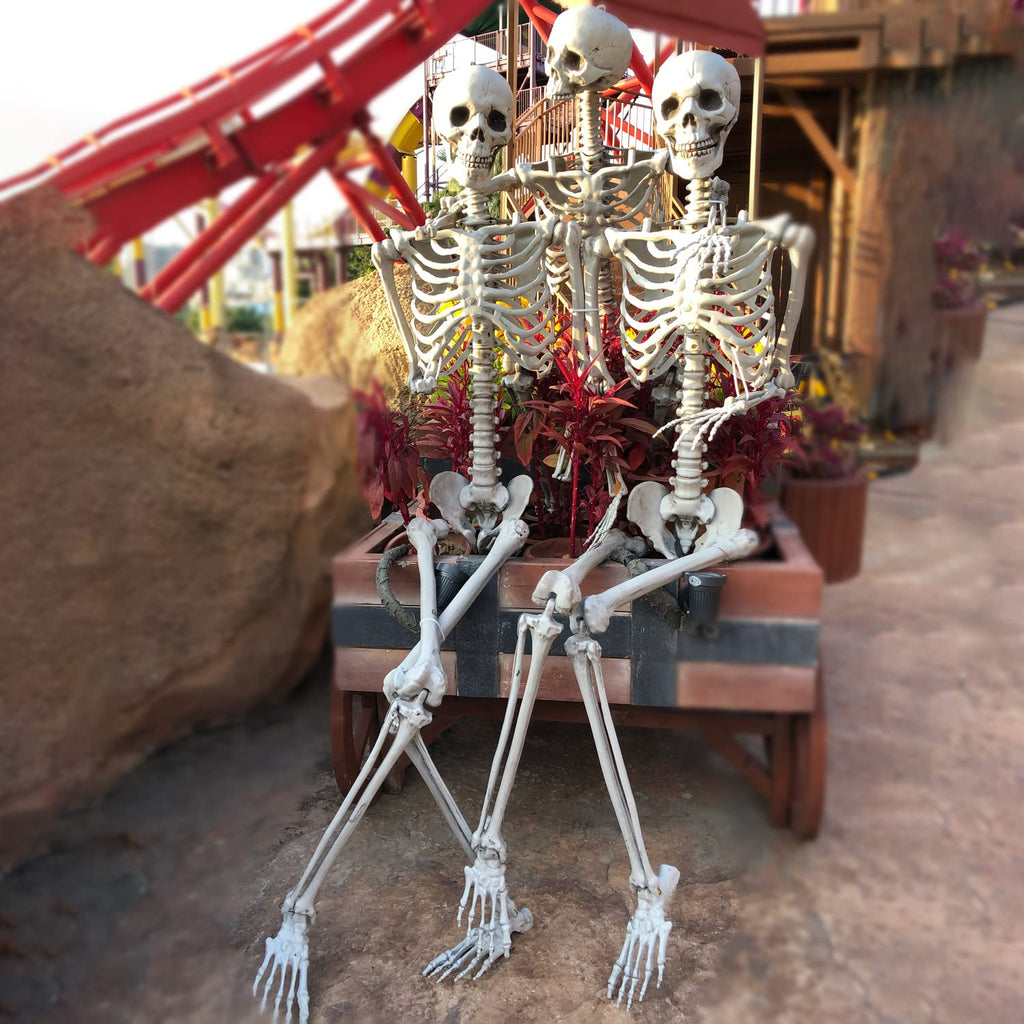 2Packs 5.4ft Life Size Full Body Skeletons with Movable Joints R9284