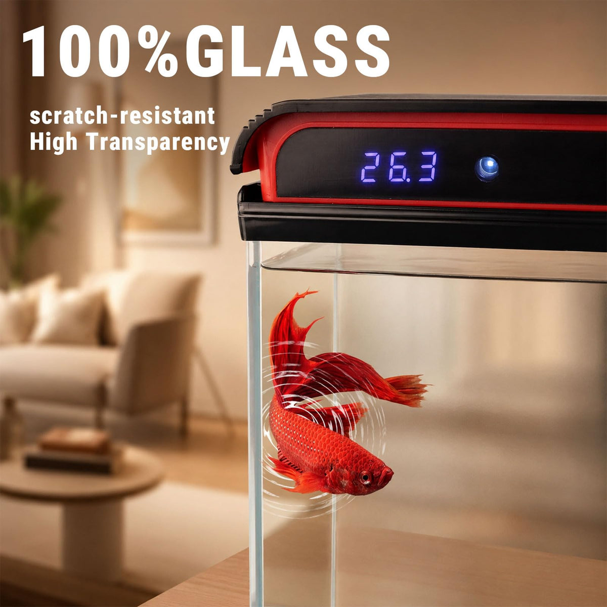 5 Gallon Glass Fish Tank T73741
