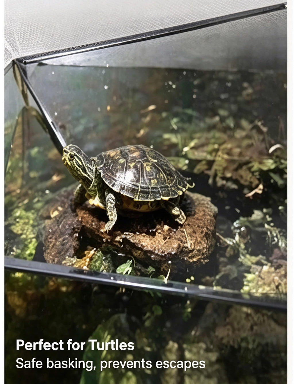 Aluminum Fish Tank Mesh Lid I86209