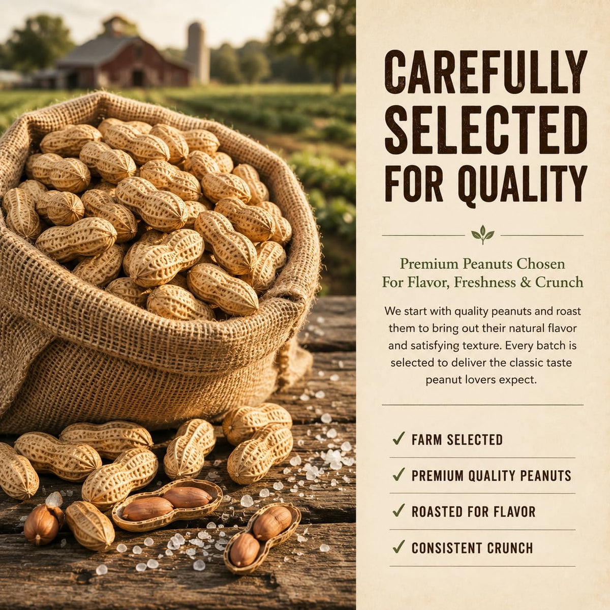 Roasted Salted Peanuts In Shell 1 LB E970257