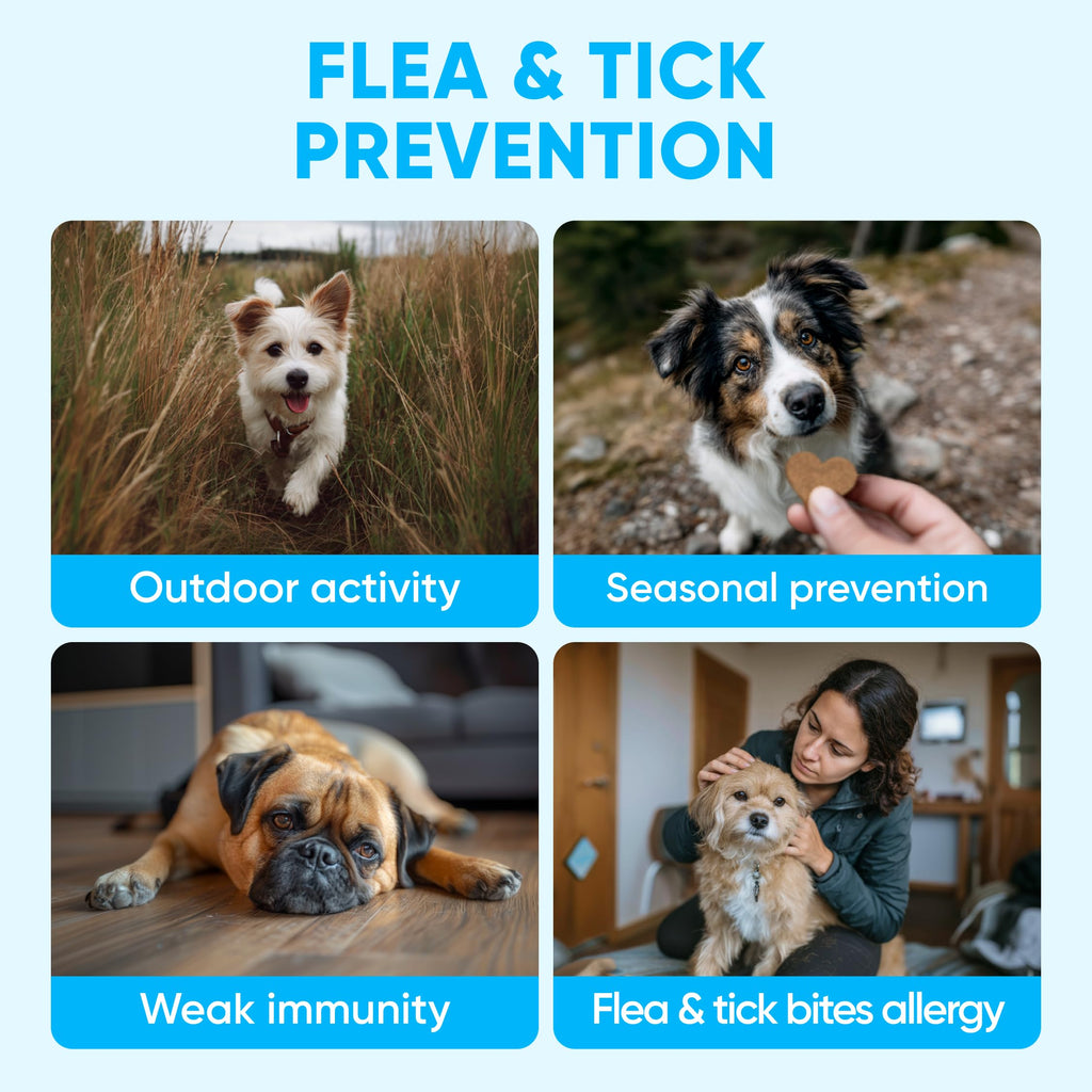 Chewable Flea and Tick Prevention for Dogs 120 Soft Chews Y210