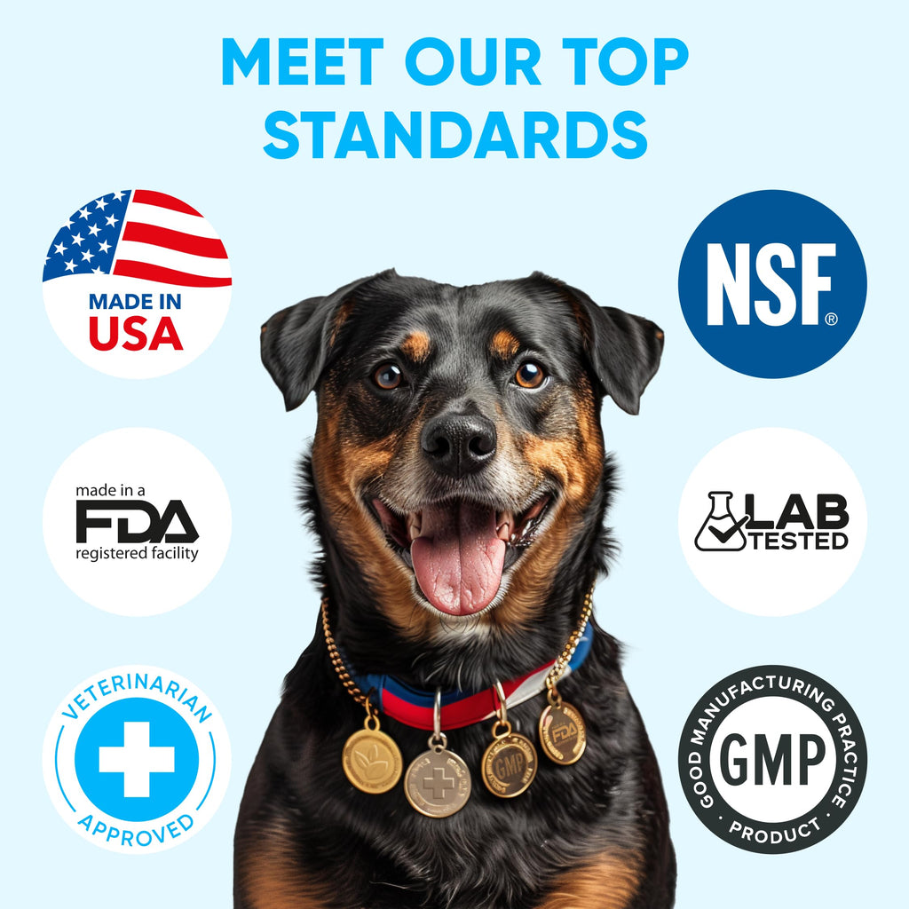 Chewable Flea and Tick Prevention for Dogs 120 Soft Chews Y210