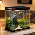 5 Gallon Glass Fish Tank T73741