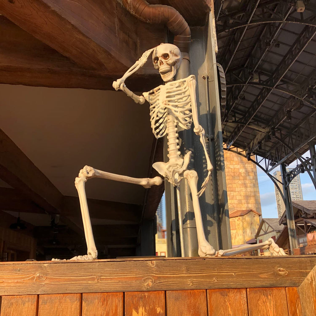 2Packs 5.4ft Life Size Full Body Skeletons with Movable Joints R9284