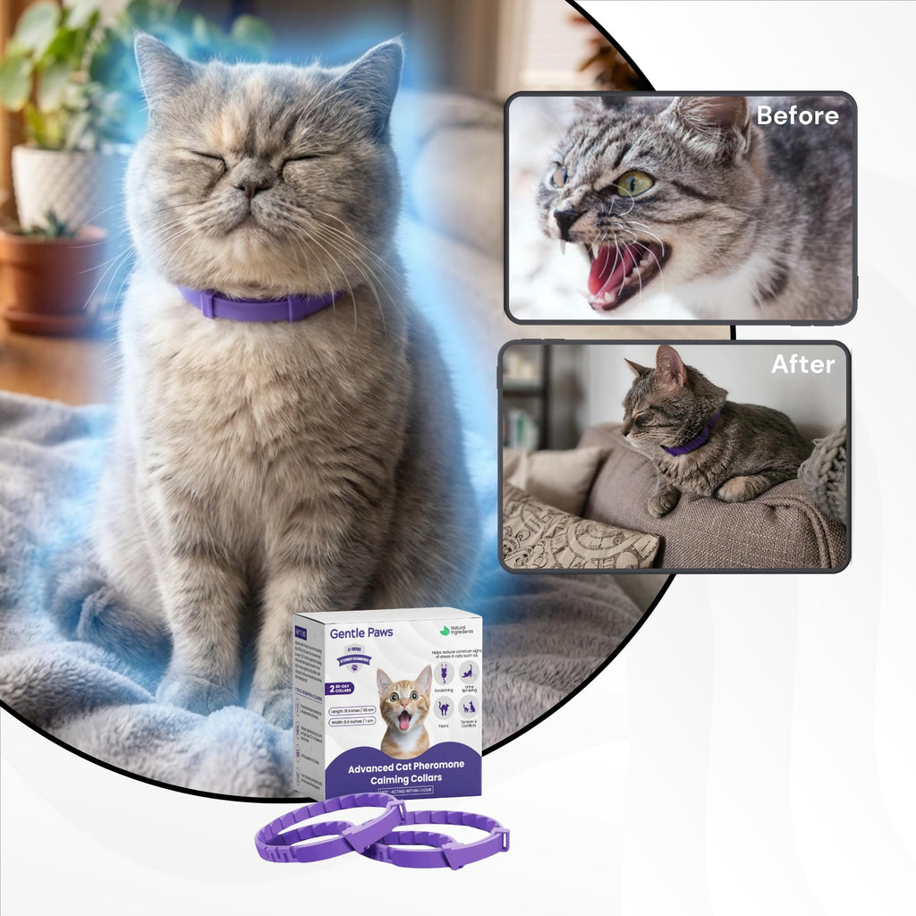 Cat Calming Collar 2-Pack V4980