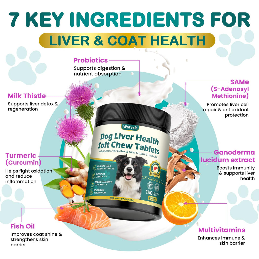 Milk Thistle Supplement for Dogs with Curcumin Choline Fish Oil Prebiotics Chicken Flavor T144184