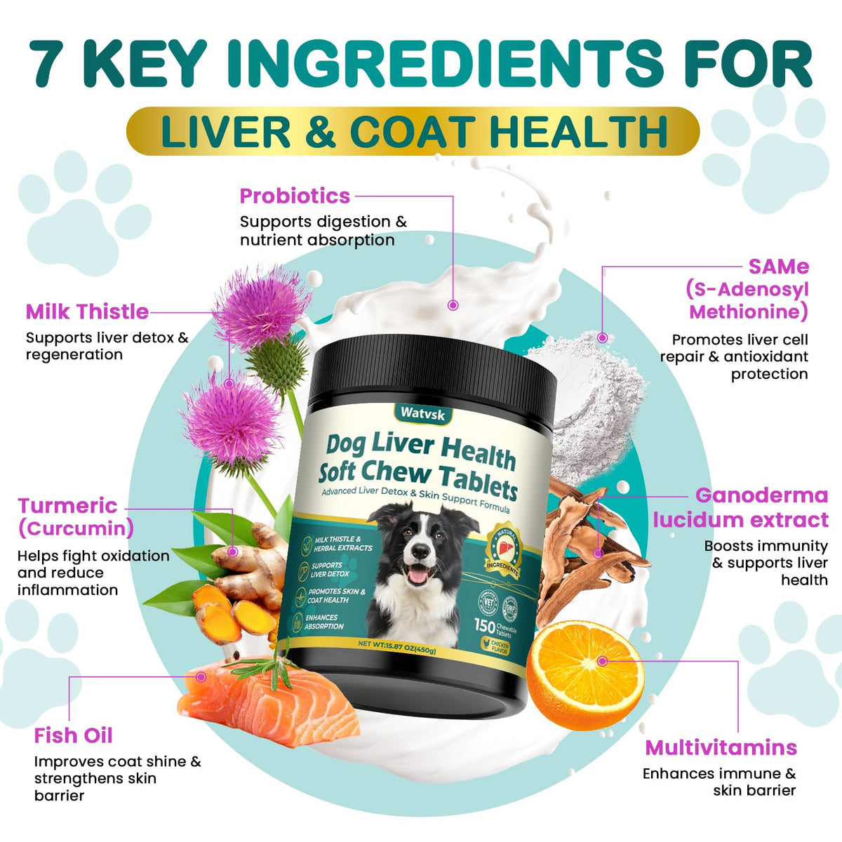 Milk Thistle Supplement for Dogs with Curcumin Choline Fish Oil Prebiotics Chicken Flavor T144184