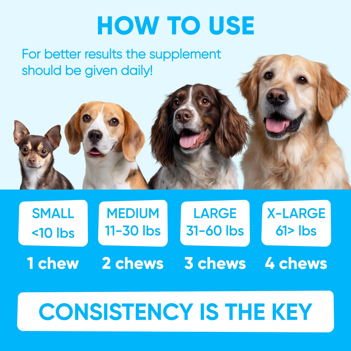 Chewable Flea and Tick Prevention for Dogs 120 Soft Chews Y210