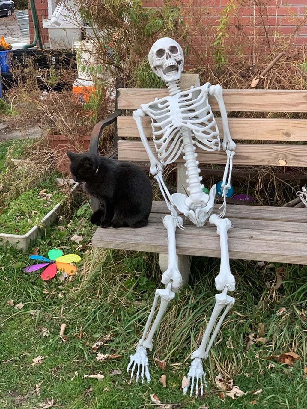2Packs 5.4ft Life Size Full Body Skeletons with Movable Joints R9284