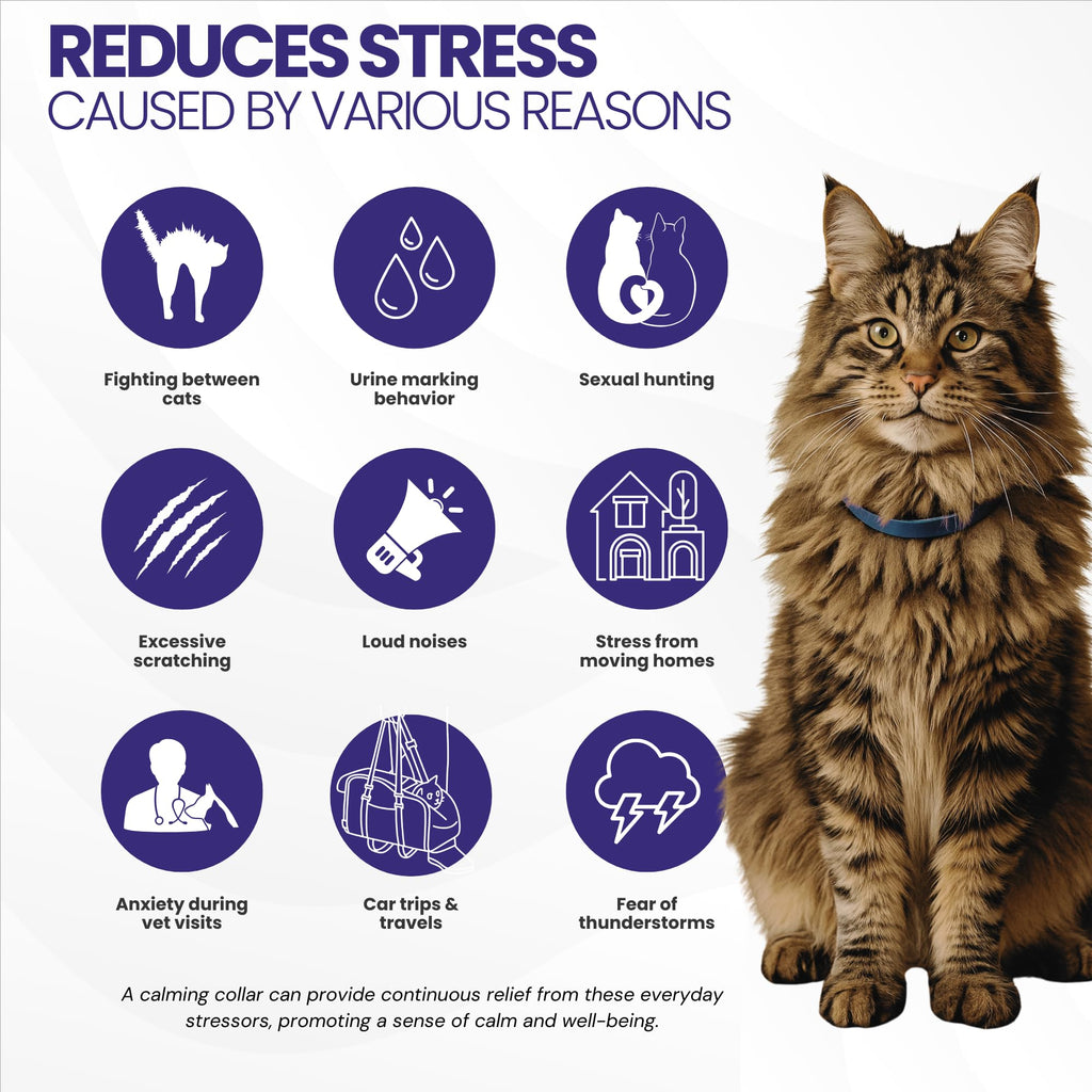 Cat Calming Collar 2-Pack V4980