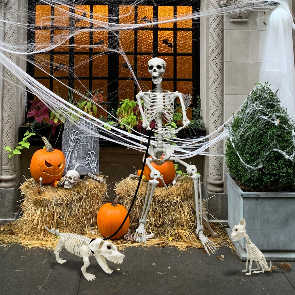 5.4Ft Posable Halloween Skeleton with Dog Cat Skeleton N481290