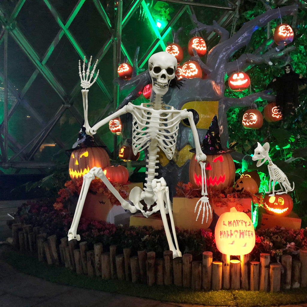 5.4Ft Posable Halloween Skeleton with Dog Cat Skeleton N481290